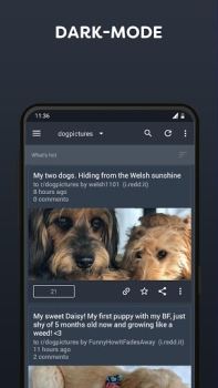 Download BaconReader for Reddit Berita & Majalah untuk Android tangkapan layar 2