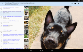Download rif is fun for Reddit Berita & Majalah untuk Android tangkapan layar 7