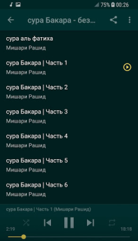 Download sourate al baqara al afasy offline Gaya hidup untuk Android tangkapan layar 2