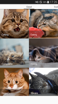 Download Cat sounds - play with cats Hiburan untuk Android tangkapan layar 5