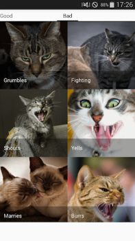 Download Cat sounds - play with cats Hiburan untuk Android tangkapan layar 7