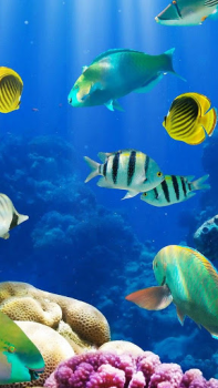 Download Aquarium Live Wallpaper Personalisasi untuk Android tangkapan layar 3