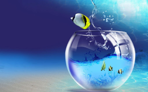 Download Aquarium Live Wallpaper Personalisasi untuk Android tangkapan layar 7