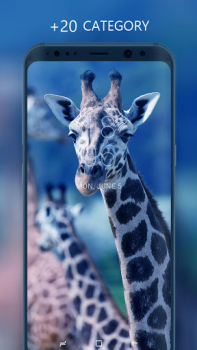 Download Wallpapers and Backgrounds Personalisasi untuk Android tangkapan layar 2