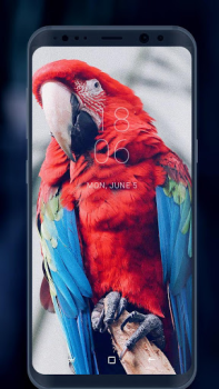 Download Wallpapers and Backgrounds Personalisasi untuk Android tangkapan layar 6
