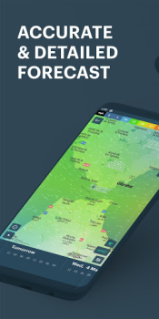 Download Windy.app - Enhanced forecast Cuaca untuk Android