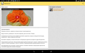 Download Recipes in Russian Makanan dan minuman untuk Android tangkapan layar 7