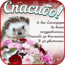 Download  Открытки и Картинки Спасибо и Благодарю