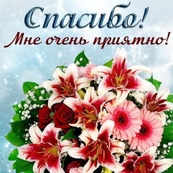 Download Открытки и Картинки Спасибо и Благодарю Hiburan untuk Android tangkapan layar 3