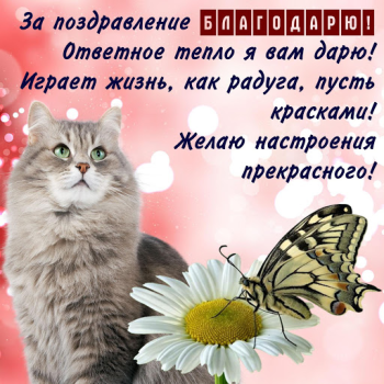 Download Открытки и Картинки Спасибо и Благодарю Hiburan untuk Android tangkapan layar 5