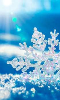 Download Falling Snow Live Wallpaper (live background) Personalisasi untuk Android tangkapan layar 2