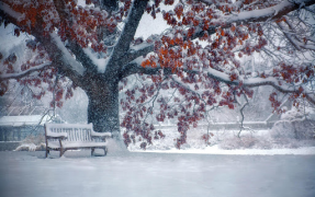 Download Falling Snow Live Wallpaper (live background) Personalisasi untuk Android tangkapan layar 6