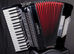 Download Accordion Lessons Pendidikan untuk Android tangkapan layar 2