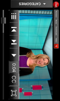 Download Adobe Flash Player Alat untuk Android tangkapan layar 2