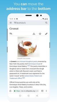 Download Kiwi Browser - Fast & Quiet Komunikasi untuk Android tangkapan layar 4