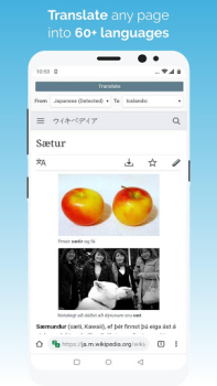 Download Kiwi Browser - Fast & Quiet Komunikasi untuk Android tangkapan layar 5