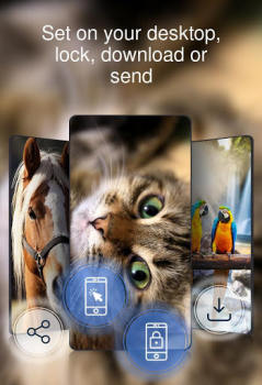 Download Beautiful wallpapers 4k Personalisasi untuk Android tangkapan layar 4