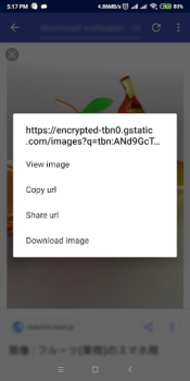 Download IDM - Download Manager Plus Alat untuk Android tangkapan layar 6