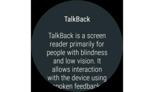 Download Android Accessibility Suite Alat untuk Android tangkapan layar 5