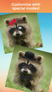 Download My Talking Pet Hiburan untuk Android tangkapan layar 4