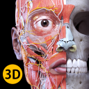Download  Anatomy 3D Atlas