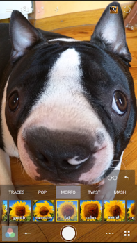Download Cameringo Lite. Filters Camera Foto untuk Android tangkapan layar 7