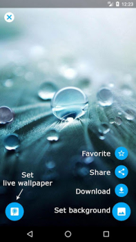 Download Dandelion Live Wallpaper Personalisasi untuk Android tangkapan layar 6