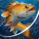 Download  Fishing Hook