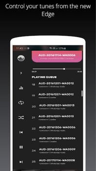 Download Galaxy S10/S20/Note 20 Edge Mu Musik dan audio untuk Android tangkapan layar 3