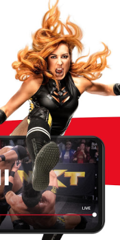 Download WWE Hiburan untuk Android tangkapan layar 5