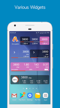Download Accupedo Pedometer Kesehatan & Kebugaran untuk Android tangkapan layar 7