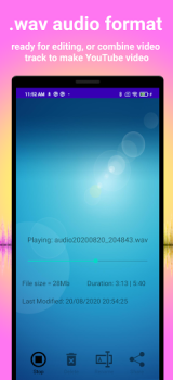 Download Earbuds Voice Recorder Musik dan audio untuk Android tangkapan layar 3