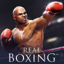Download  Real Boxing – Fighting Game
