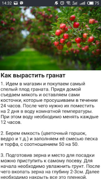 Download Дача и огород Хитрости Советы Buku dan Referensi untuk Android tangkapan layar 3