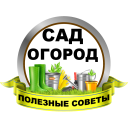 Download  Сад и огород Полезные советы
