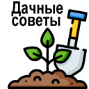 Download  Сад и огород полезные советы