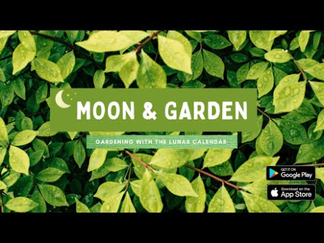 Moon & Garden