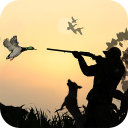 Download  Duck Hunting 3D