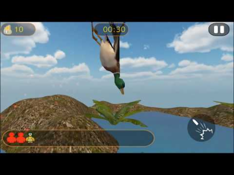 Duck Hunting 3D