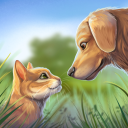 Download Pet World: My Animal Shelter