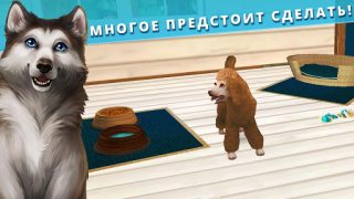 Download Pet Hotel – My animal pension Simulator untuk Android tangkapan layar 4