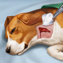 Download  Operate Now: Animal Hospital