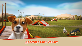 Download Dog Hotel – Play with dogs Simulator untuk Android tangkapan layar 5