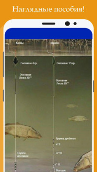 Download Все о рыбалке: энциклопедия ры Hiburan untuk Android tangkapan layar 3