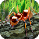 Download  Ants Survival Simulator - go t