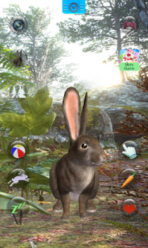 Talking Rabbit
