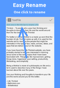 Text Editor Lite