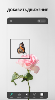VIMAGE - AI Photo Animation