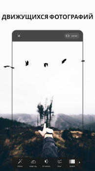 VIMAGE - AI Photo Animation