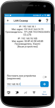 WiFi Tools: Network Scanner